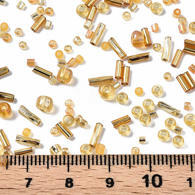 FGB Glass Seed Beads SEED-S056-005-1