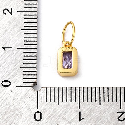 925 Sterling Silver Cubic Zirconia Charms STER-NH0014-01G-02-1