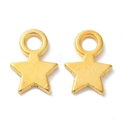 Tibetan Style Alloy Charms LS-TIBEP-A123046-G-FF-1