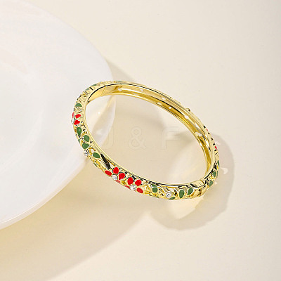 Fashionable Casual Retro Alloy Enamel Hinged Bangles for Women DG9304-3-1