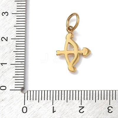 304 Stainless Steel Micro Pave Clear Cubic Zirconia Pendants STAS-Z189-01G-01-1