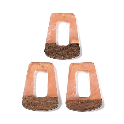 Resin & Wood Pendants WOOD-F015-11B-1