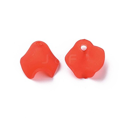 Transparent Acrylic Beads MACR-S373-106-D01-1