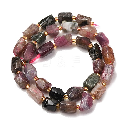 Natural Multicolor Tourmaline Beads Strands G-D110-H02-02-1