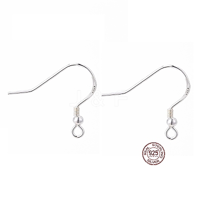 925 Sterling Silver Earring Hooks STER-K167-050S-1