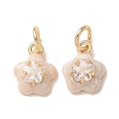 Brass Micro Pave Clear Cubic Zirconia with Enamel Charms CU-K002-53G-B-1