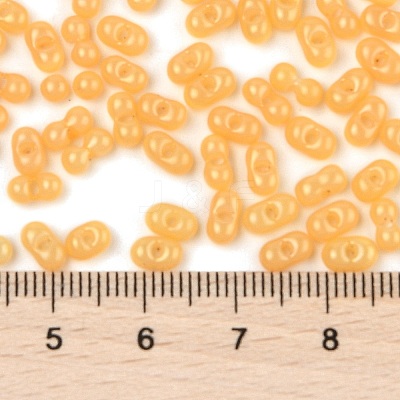Baking Paint Glass Seed Beads SEED-L011-09A-04-1