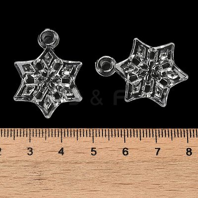 Transparent Acrylic Pendants TACR-G048-27-1