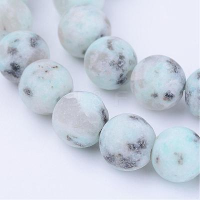 Natural Sesame Jasper/Kiwi Jasper Beads Strands G-Q462-10mm-17-1