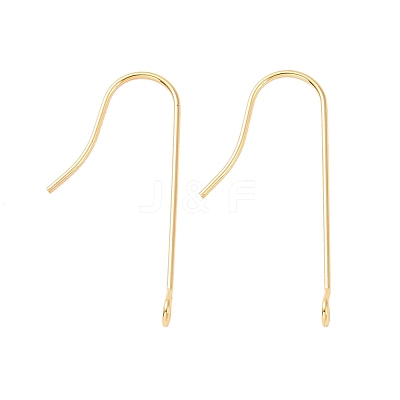 316 Surgical Stainless Steel Earring Hooks STAS-E027-01B-G-1