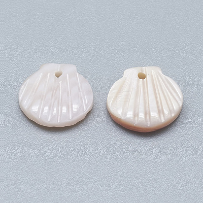 Natural White Shell Mother of Pearl Shell Charms SSHEL-S260-097C-1