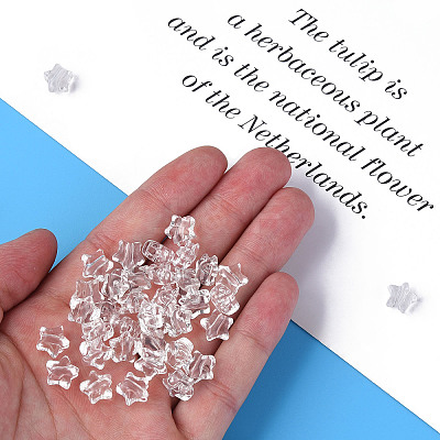 Transparent Acrylic Beads MACR-S373-45-B01-1