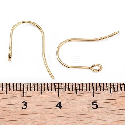 316 Surgical Stainless Steel Earring Hooks STAS-P162-13G-B01-1