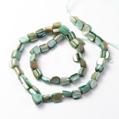 Irregular Natural Sea Shell Beads Strands SSHEL-X0001-1