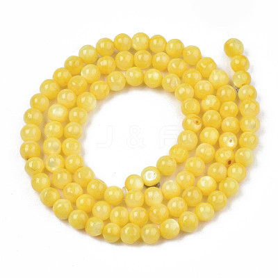 Natural Freshwater Shell Beads Strands SHEL-N003-24-B08-1