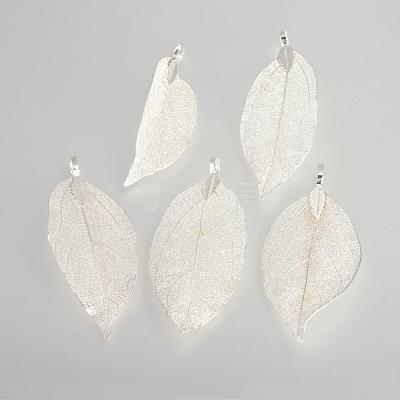 Electroplated Natural Leaf Big Pendants IFIN-Q119-03A-1