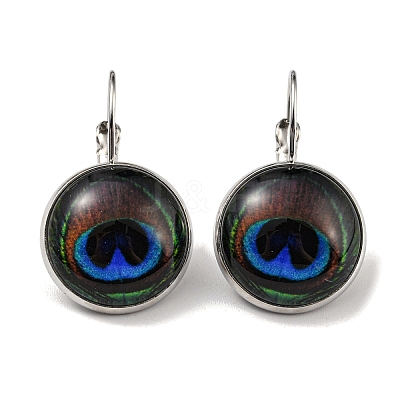Eye Glass Leverback Earrings with Brass Earring Pins EJEW-Q798-01S-1