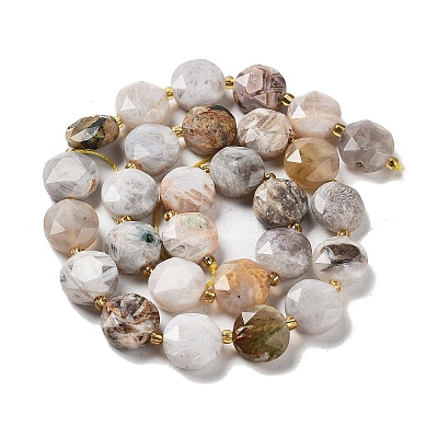 Natural Crazy Lace Agate Beads Strands G-NH0004-032-1