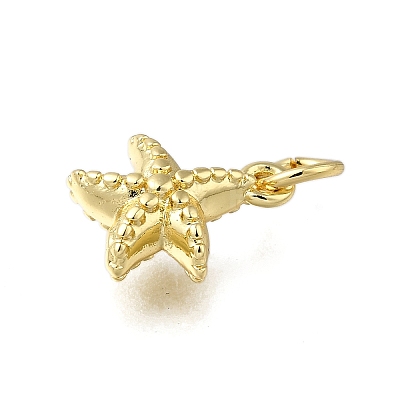 Brass Charms LS-ZIRC-I070-085G-1