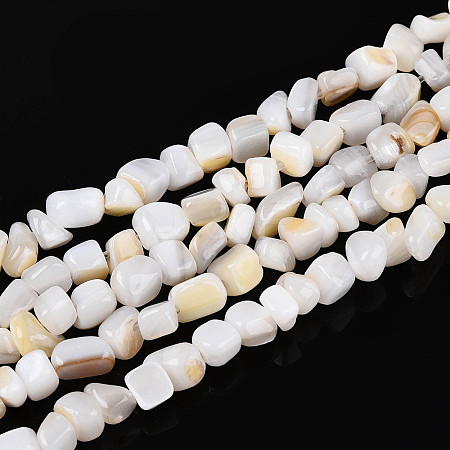 Natural Freshwater Shell Beads Strands SHEL-N038-06A-1