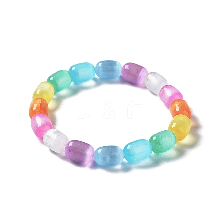 Dyed Natural Selenite Column Beaded Stretch Bracelet for Women BJEW-I312-03-1