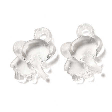 Transparent Acrylic Pendants TACR-G048-31-1