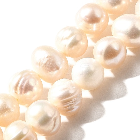  1 Strand Natural Cultured Freshwater Pearl Beads Strands PEAR-XCP0001-08-1