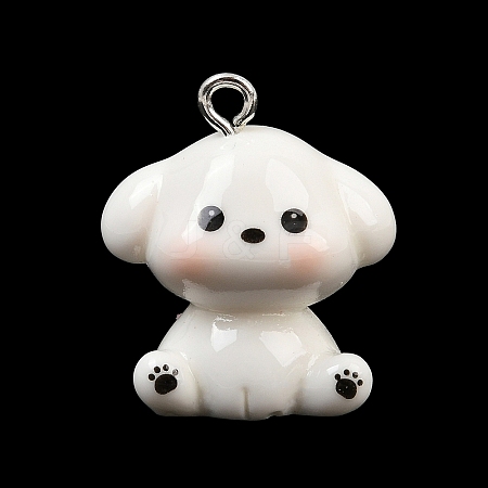 Opaque Resin Pendants RE-CBA19D0-03C-1