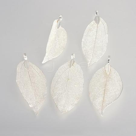 Electroplated Natural Leaf Big Pendants IFIN-Q119-03A-1