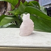 Natural Rose Quartz Carved Skull with Cat Figurines PW-WG21880-01-1