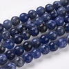 Natural Sodalite Beads Strands G-E110-6mm-3-1