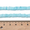 Handmade Lampwork Beads Strands LAMP-Q037-02A-08-4