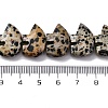 Natural Dalmatian Jasper Beads Strands G-F783-G06-01-3