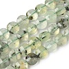 Natural Prehnite Beads Strands G-C179-A51-03-2