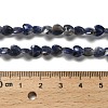 Natural Sodalite Beads Strands G-P575-C15-6mm-5