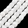 Natural White Jade Beads Strands G-C179-B23-01-1