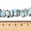 Natural Larimar Beads Strands G-Z091-A09-5