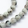 Natural Sesame Jasper/Kiwi Jasper Beads Strands G-I199-29-8mm-3