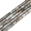 Natural Labradorite Beads Strands G-F832-B10-01-2