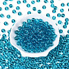 FGB Transparent Glass Seed Beads SEED-N013-01C-10-3