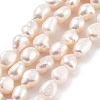 Natural Cultured Freshwater Pearl Beads Strands PEAR-P062-28A-1