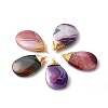 Natural Agate Pendants PALLOY-JF00778-1