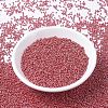 MIYUKI Round Rocailles Beads X-SEED-G007-RR0425-2