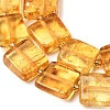Natural Amber Beads Strands G-C260-A01-03-4