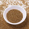 MIYUKI Delica Beads SEED-X0054-DB1201-2