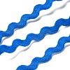10 Strands Polyester Polyester Wavy Fringe Trim Ribbon OCOR-XCP0001-89-2
