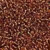12/0 Glass Seed Beads X-SEED-A005-2mm-22C-3
