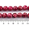 Dyed Natural Regalite/Imperial Jasper/Sea Sediment Jasper Beads Strands G-B124-C03-03-3