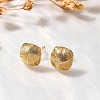 Brass Square Stud Earrings EJEW-Z083-04G-1
