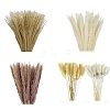 Mini Dried Pampas Grass HULI-PW0002-112C-1